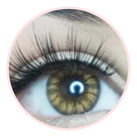 GLASSBALL BROWN