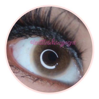 POLAR LIGHTS BROWN