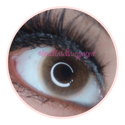 POLAR LIGHTS BROWN