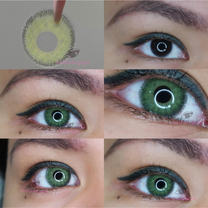 PREMIUM GREEN - LENTILLAS CHAMPAGNE